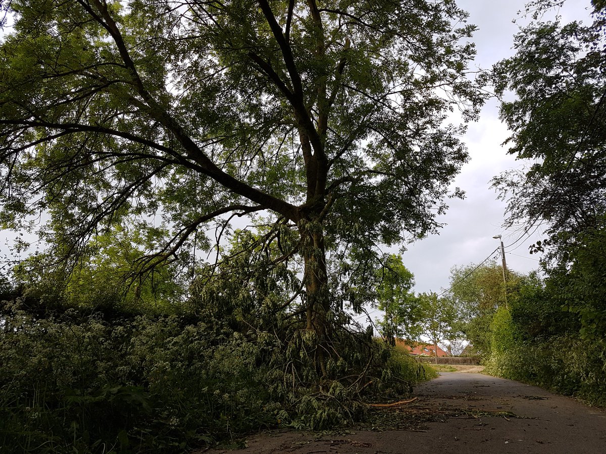 studiodewolf's tweet photo. Gisteren brak een tak van boom af en kwam terecht op een weg in Halle ter hoogte van een kruispunt de Beertsestraat en de Mierenberg. Op de andere foto's zien jullie de zonnestralen.
@MeteoWard @Leovanvreckem @Weerbord #storm #rukwind #windstoot #pajottenland https://t.co/CKIeaz4oBg
