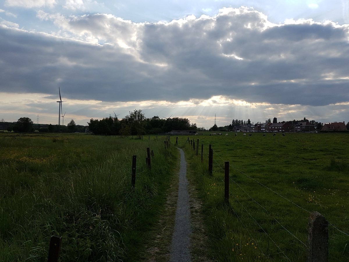 studiodewolf's tweet photo. Gisteren brak een tak van boom af en kwam terecht op een weg in Halle ter hoogte van een kruispunt de Beertsestraat en de Mierenberg. Op de andere foto's zien jullie de zonnestralen.
@MeteoWard @Leovanvreckem @Weerbord #storm #rukwind #windstoot #pajottenland https://t.co/CKIeaz4oBg