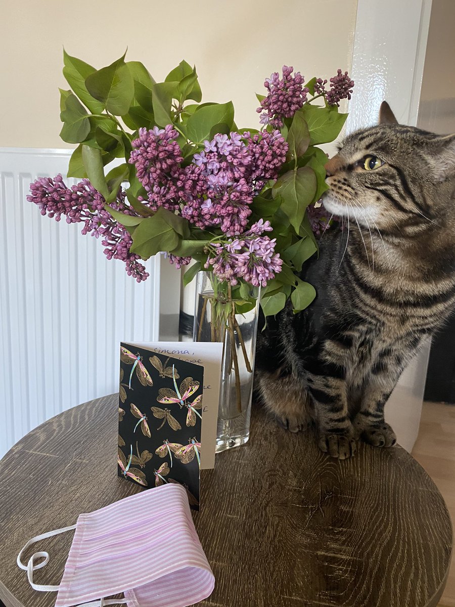 SimonaNescol's tweet photo. Thank you so much @lisahrattray 🤗🥰🙈 this is so cute 😍🌸🥰 thanks to @OscarCraig17 for the deliveroo 🚲 😊 🤗 https://t.co/SdBVrkhVfC
