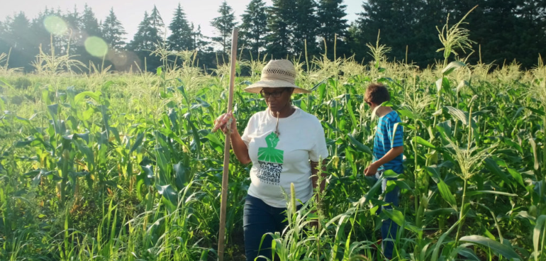 The Food Group tweet media