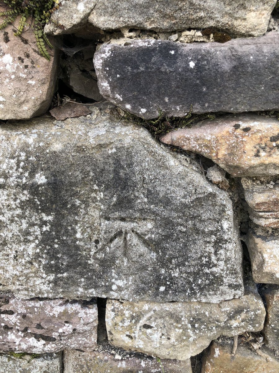 salliedukes78's tweet image. 2 out of a potential 10 this evening - not a good haul ☹️ #osbenchmark