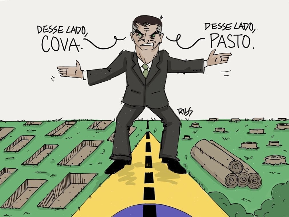 O que é o meme da capivara e o novo lançamento da Usare - Blog Usare Design  - design antimonotonia