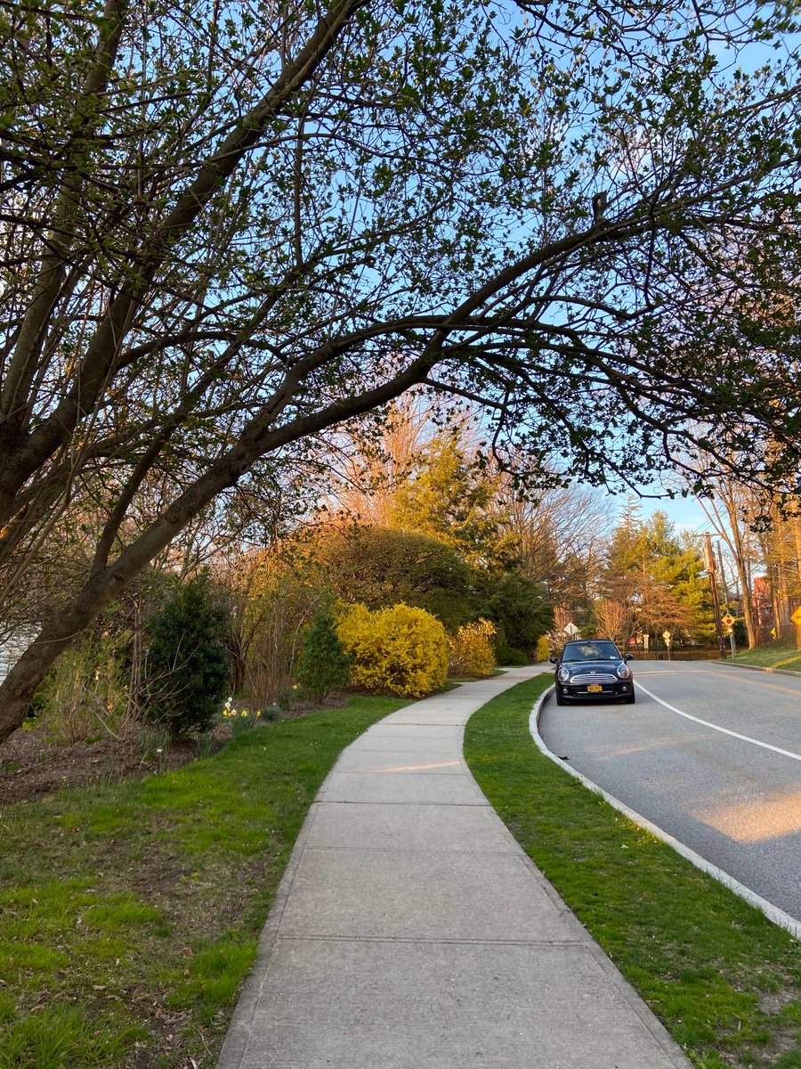ICX_Sara's tweet photo. During week May 10-17 walk virtually with me! The Foundation supports many projects: Iโm passionate about supporting scholarships x high school seniors & generously donating to those in need: https://t.co/g8WDQ3G0eR #VirtualWalk2020 #relocation #globalmobility #communityoutreach https://t.co/YTbi2wLMbl