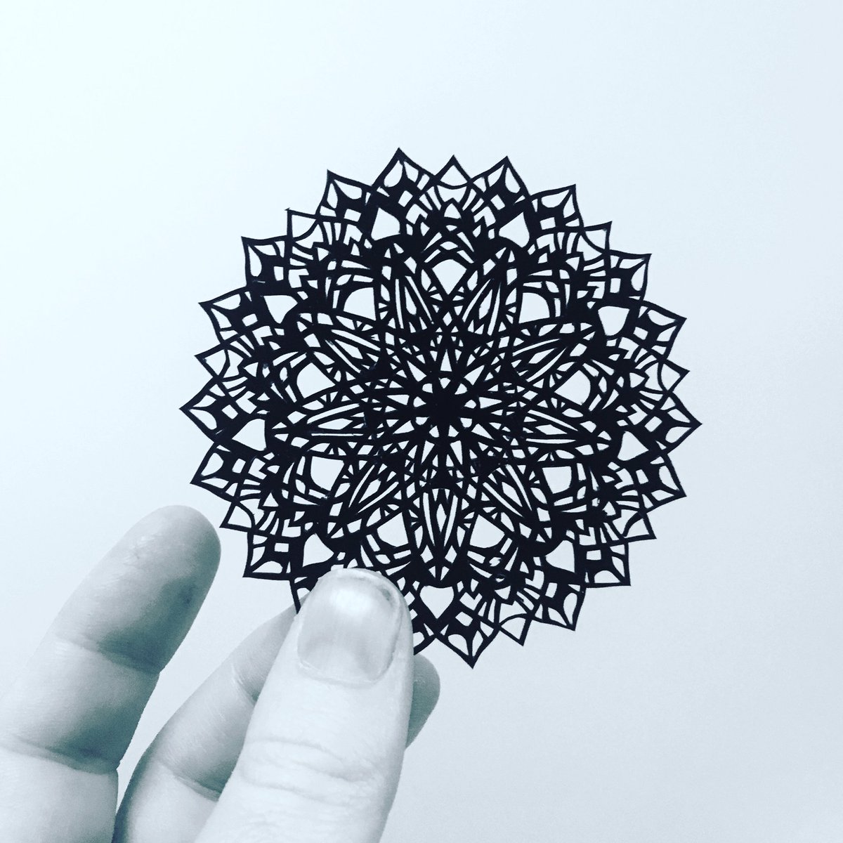 ChartamArt's tweet photo. A teeny tiny one to really focus the mind, steady the hands and test the eyesight! ‘stellina’ 3 inches across #11 blades on SoSilk black paper #papercut #papercutart #guildofamericanpapercutters https://t.co/bYGB1GFWj4