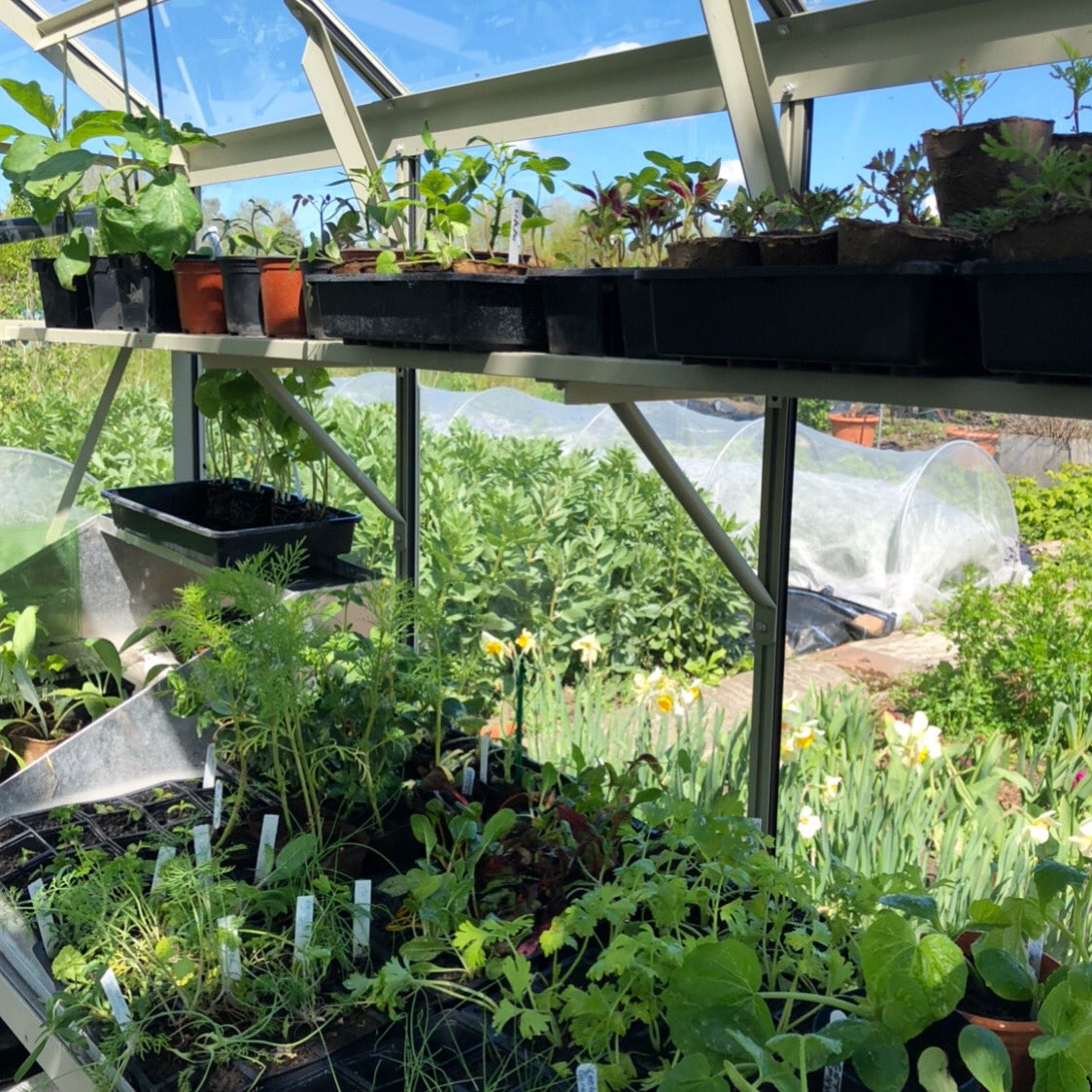 Ellen Mary tweet media