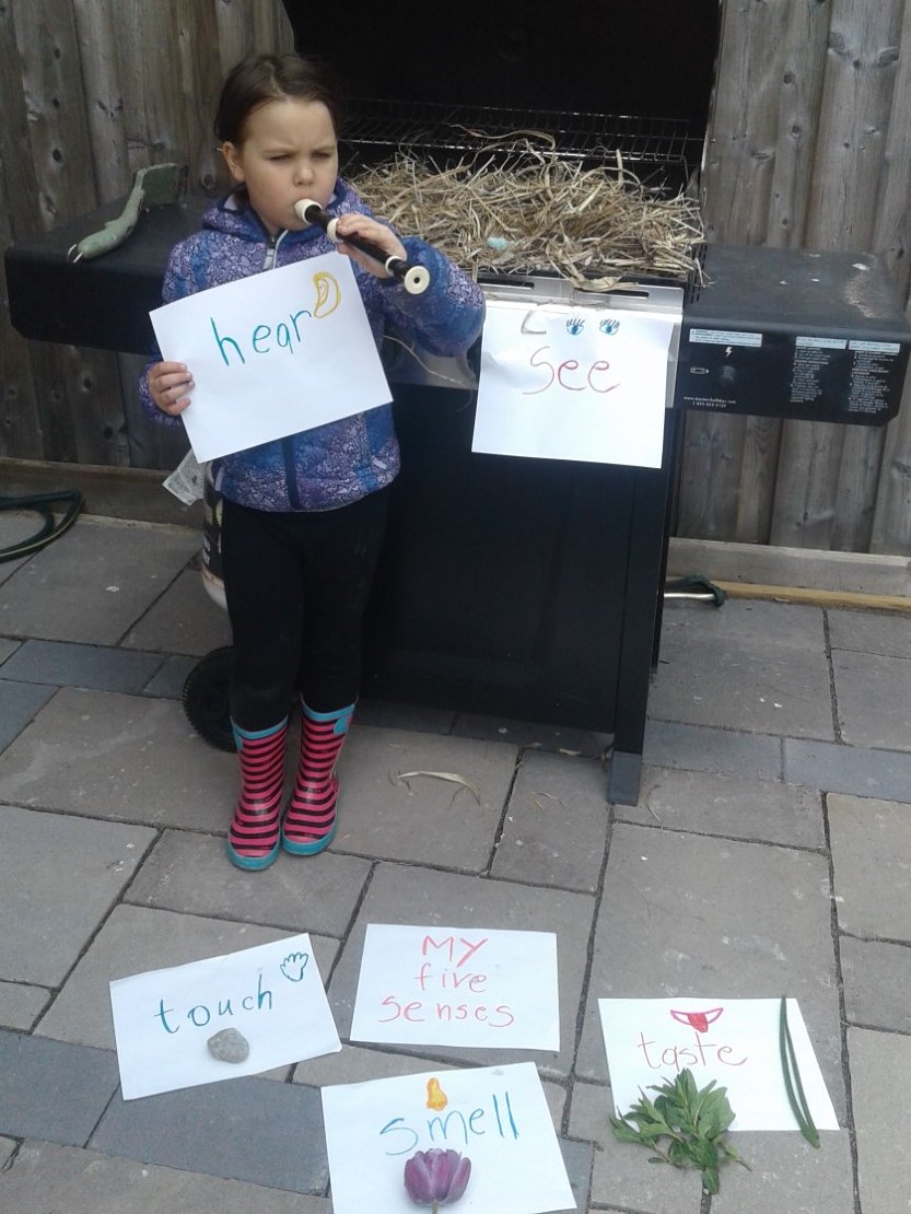 K1Basil's tweet photo. learning about 5 senses outside https://t.co/wj9k3efg3R