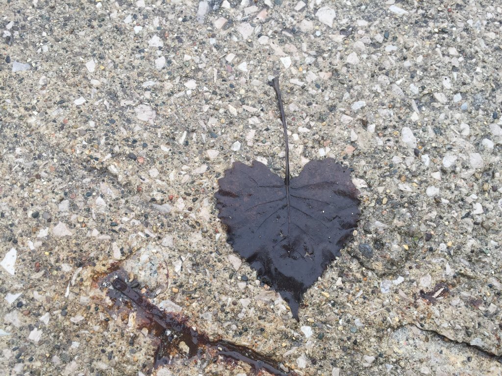 LLunacy's tweet photo. “You always gain by giving love.”-Reese Witherspoon https://t.co/nTR31mwxPe