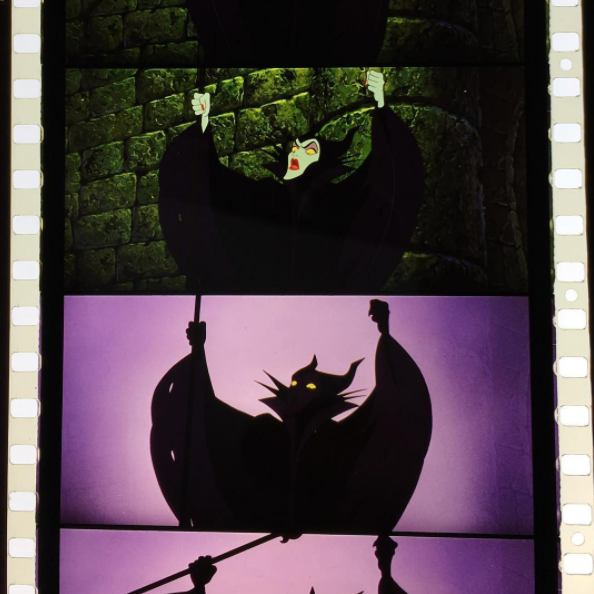 SLEEPING BEAUTY (70mm)