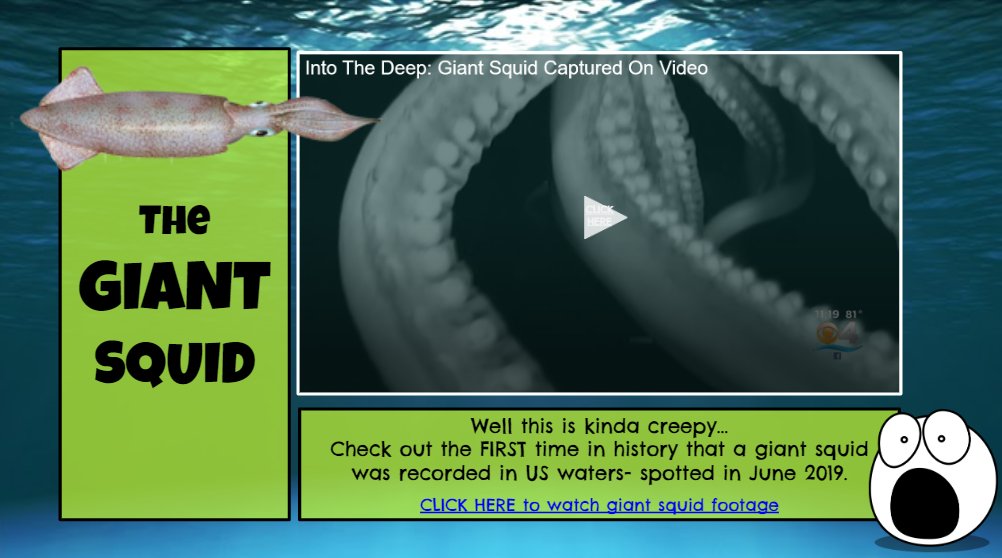 Math Gone Wild with Thompson and Bartschi. @Thompschi Here's some underwater fun. <a href="/HumbleISD_ESE/">Eagle Springs Elem</a> <a href="/TeamThompsonESE/">Chelsea Thompson</a> <a href="/KatieBartschi/">Katie Bartschi</a>