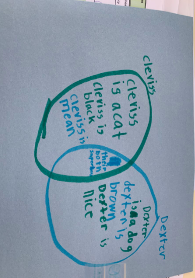 Miss_Flaim's tweet photo. This week the #SecondGradeExplorers are comparing and contrasting characters in a story. 📖 After a @Screencastify mini lesson and listening to our mentor text, students created their own venn diagrams!🤩 #WeAreBethpage https://t.co/OoayYYA27j