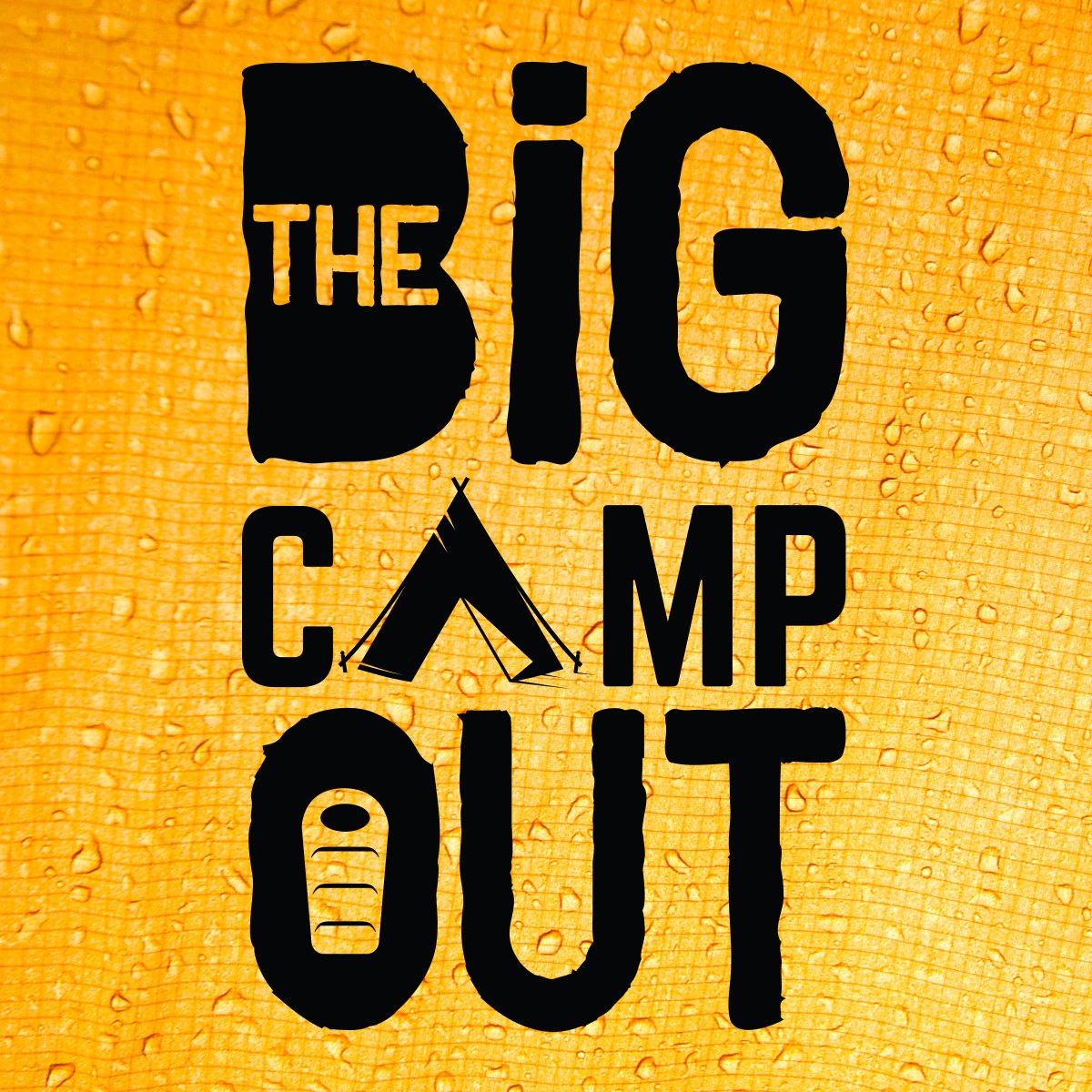 Over one hundred families have already signed up to Friday’s Big Camp Out. Sign up now and be part of this free, virtual event, organised by Community Learning and Development and enjoy live music, quizzes, and cooking. 
#NLBigCamp 
crowd.in/8hdzVF