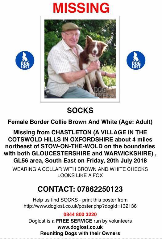 gelert01's tweet photo. #SOCKS #missingDog 20/07/2018
Copied : #CHASTLETON 4 miles northeast of #STOWONTHEWOLD borders both #GLOUCESTERSHIRE & #WARWICKSHIRE
Where is #SOCKS now? #ScanthatChip #PetTheftAwareness https://t.co/3uC6rD1Gan