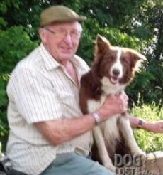 gelert01's tweet photo. #SOCKS #missingDog 20/07/2018
Copied : #CHASTLETON 4 miles northeast of #STOWONTHEWOLD borders both #GLOUCESTERSHIRE & #WARWICKSHIRE
Where is #SOCKS now? #ScanthatChip #PetTheftAwareness https://t.co/3uC6rD1Gan