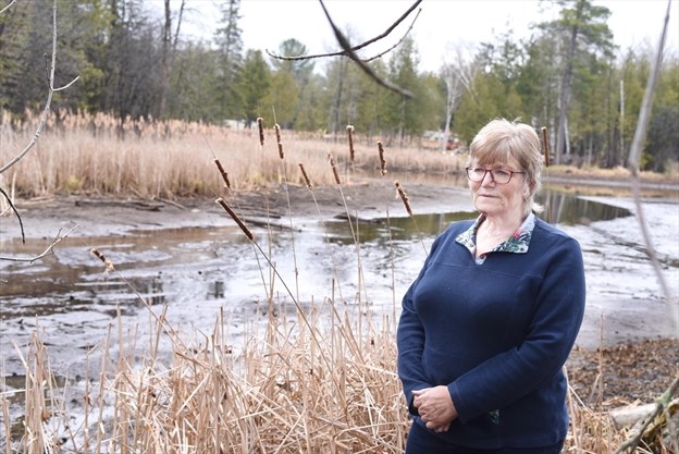 YorkRegion's tweet photo. 'It will just get worse': Pefferlaw River doesn't run through #Georgina anymore. #water #LSRCA https://t.co/bhwi9uw7f7 https://t.co/eIVH85dpjj