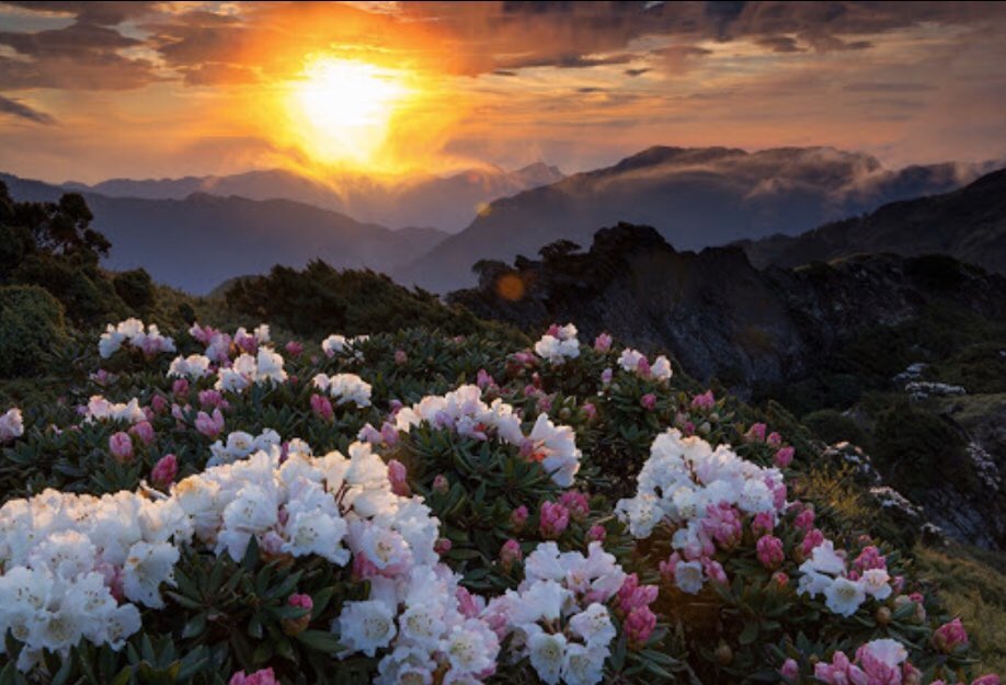 Words inscribed on
Bones withstanding
Tests of Time
✨

Create reality with thoughts
Awareness Belief Dedication
The Law of Manifestation

(10/50 #spiritualLaws)
✨
Gentle rebels
Where we openly
Hide those feelings
A conspiracy against
Us under the lines

📷1Zoom #5D #Love #Earth