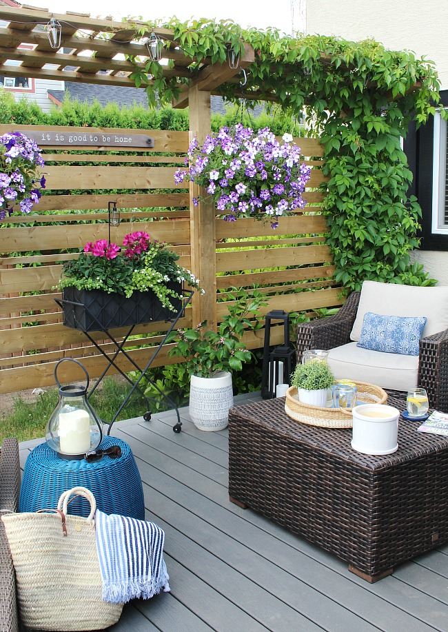 teamhaig's tweet photo. More Patio Flowers https://t.co/tpnvqERqXo
