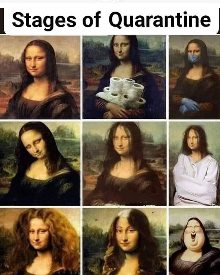 Nicky Williamson 🌏✈️💛💚 tweet media