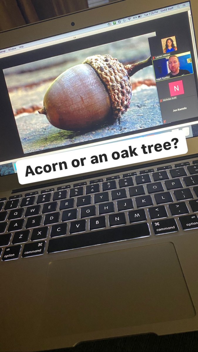 LO_IS_ME's tweet photo. Thank you @MarkHTrumbo for an on-time #PurposeDesign2020 session! Inspiring as always! #knowyourseeds https://t.co/3hjME8eXQL