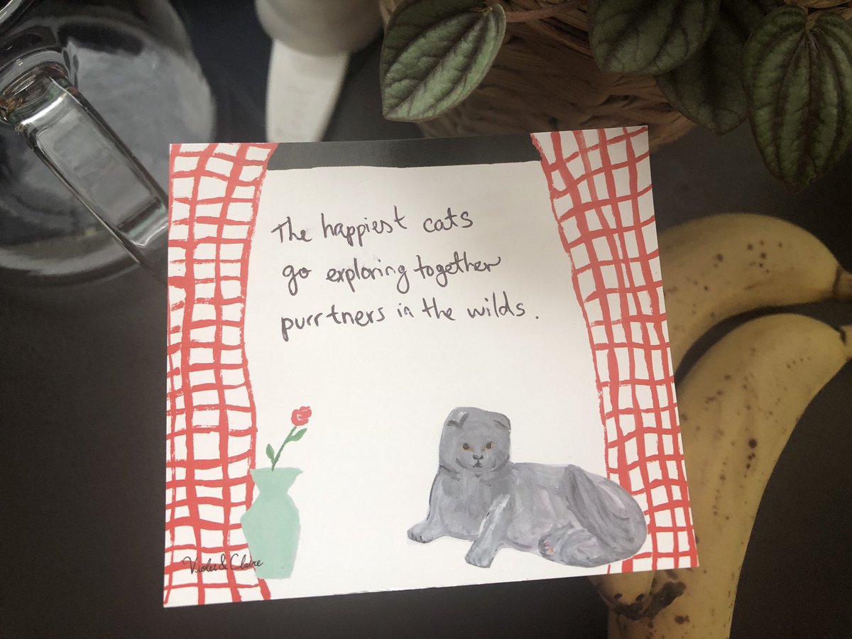 The happiest cats
go exploring together
purrtners in the wilds.
👯‍♀️ #daiku #haiku