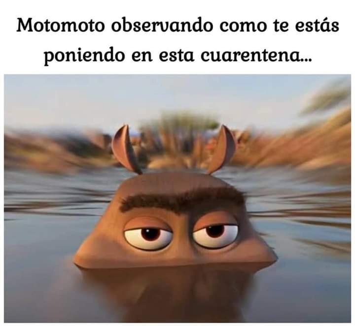 SChandelure's tweet photo. #Madagascar #fun #OMG https://t.co/dq88rybCPI