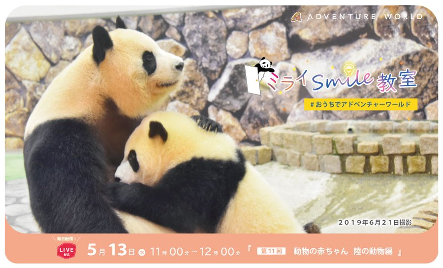 パンダ一家のママへ愛をこめて花束を アドベンチャーワールドのパンダ通信 ウォーカープラス