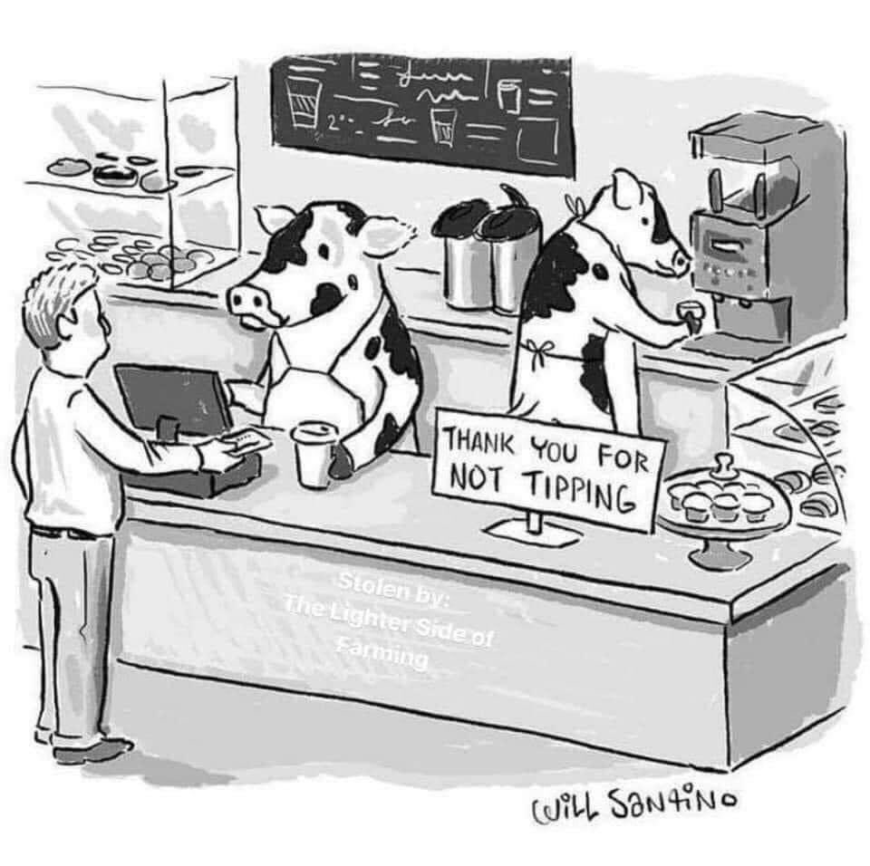 TMayhewAuthor's tweet photo. #CustomerService #servers #tammymayhew #tammymayhewauthor https://t.co/Mt4k4VixLl