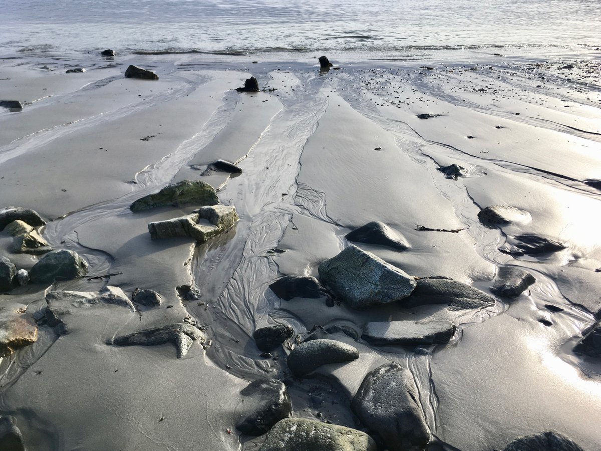 NH Sea Grant tweet media