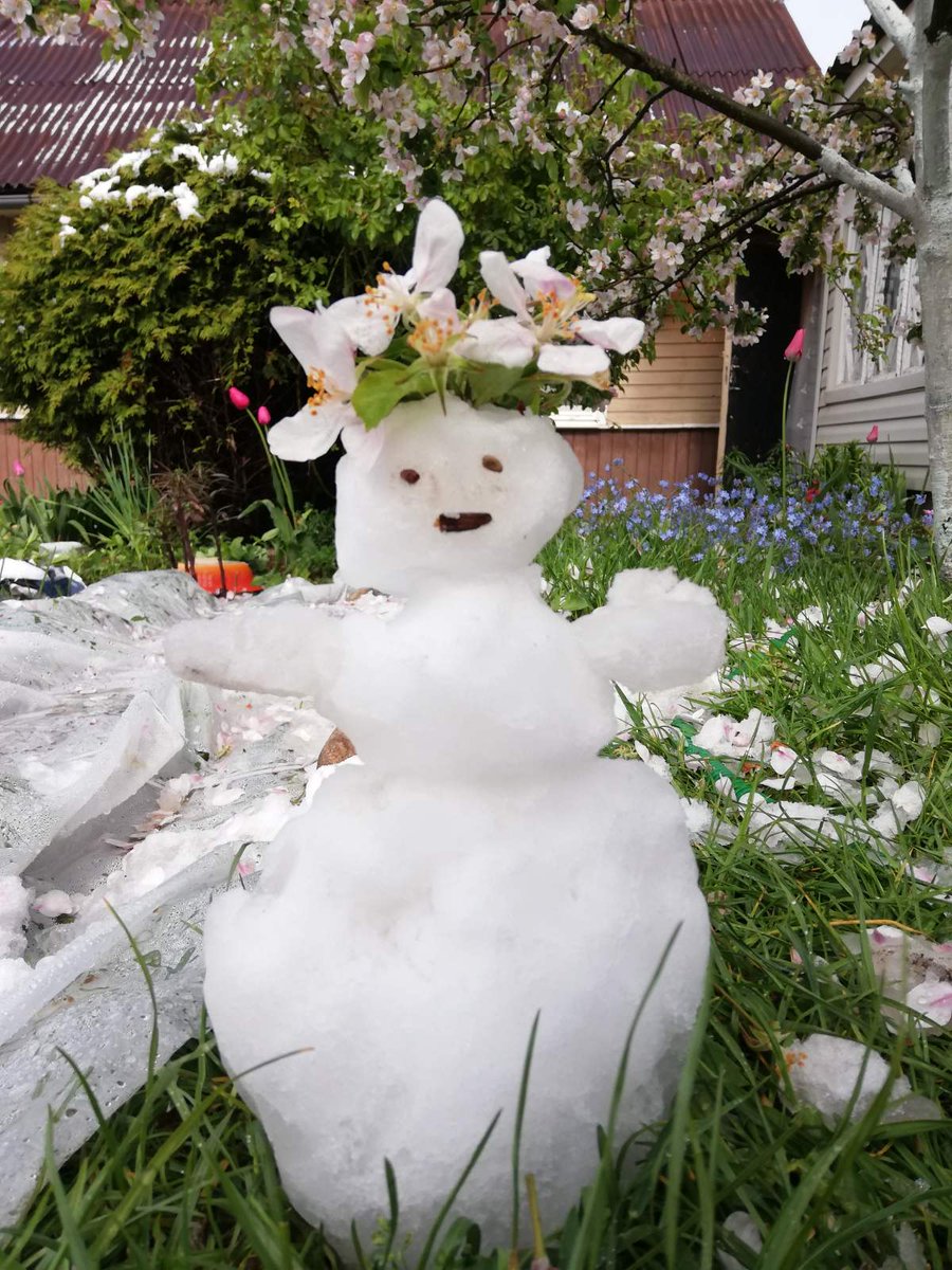 @Daily_minsk Вот фото дня