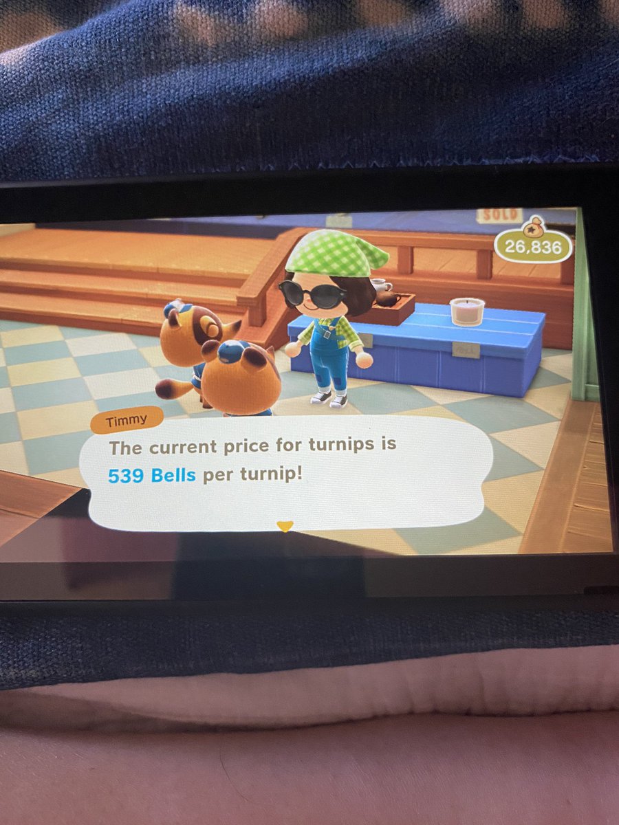 loruhanch's tweet photo. My turnip prices are finally good!!! 539 bells :) #turnips https://t.co/VbRS3eEPTg