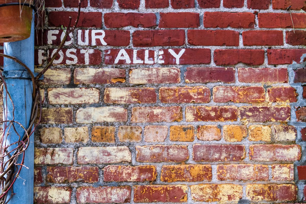 Rick Holliday tweet media