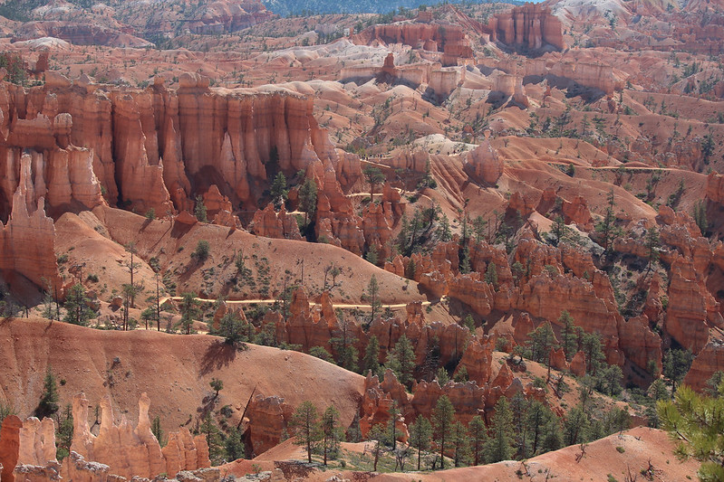Day 5: May 12, 2019:After a lot of hiking and driving yesterday (and heat exhaustion for me on Day 3), we slept in a bit today. But we awoke just steps from Bryce Canyon in the park lodge.It's a surreal landscape.