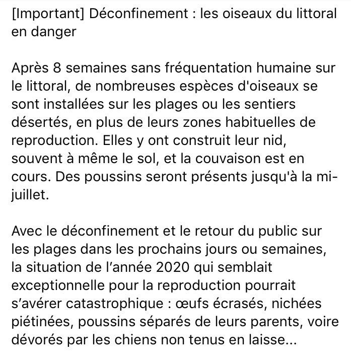 tomlinsfun's tweet photo. ‼️IMPORTANT‼️
Bientôt les plages ne seront plus interdites d'accès, mais pendant notre absence des oiseaux y ont fait leur nid!!

Lisez SVP https://t.co/MCPM8KvJIz