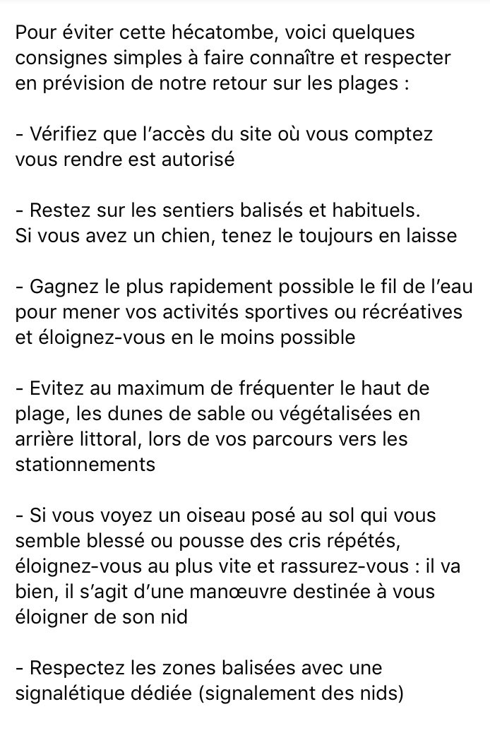 tomlinsfun's tweet photo. ‼️IMPORTANT‼️
Bientôt les plages ne seront plus interdites d'accès, mais pendant notre absence des oiseaux y ont fait leur nid!!

Lisez SVP https://t.co/MCPM8KvJIz
