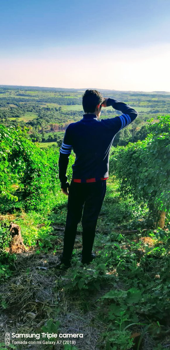 RamonPlanas04's tweet photo. 💚 https://t.co/N1NlfOJzz0
