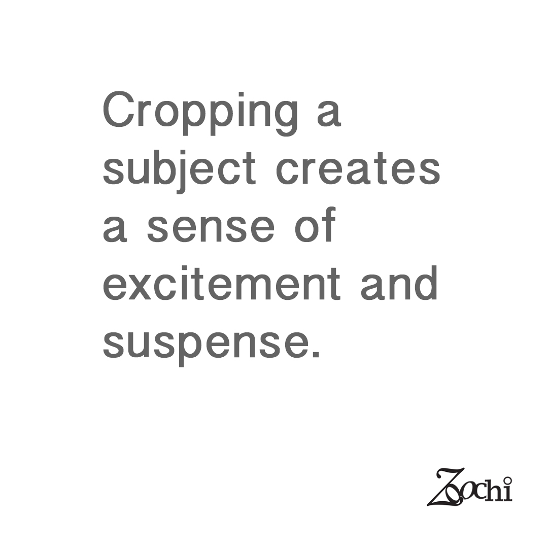 Cropping a subject creates a sense of excitement and suspense. #zoochi #zoochidesigns #designtricks #designconcepts #artofcropping #calledtocreate #createeveryday #creativecommunity #creativeprocess
blog.zoochi.net/revamping-a-pr…