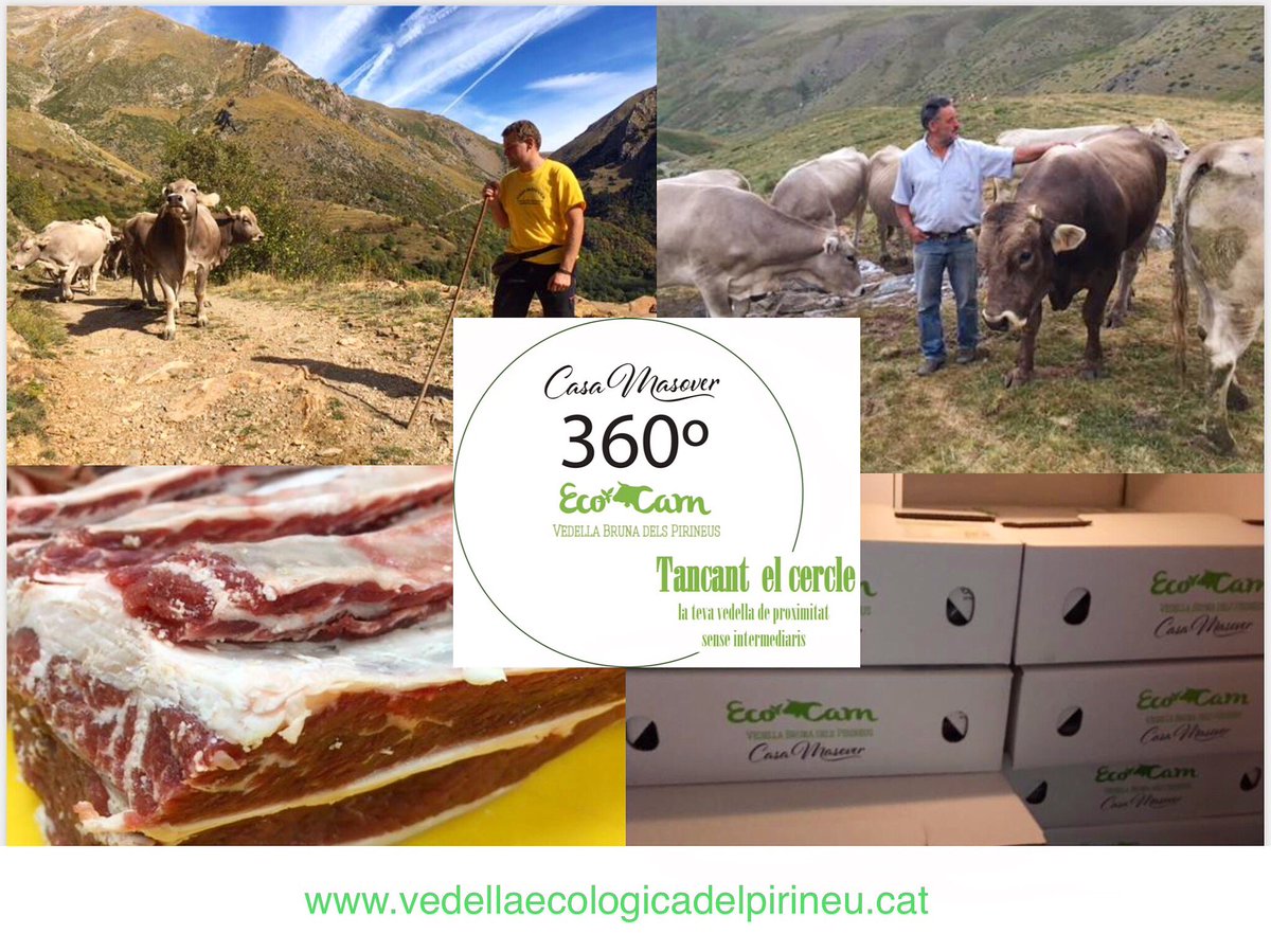 Del Pallars a casa vostra! #Tanquemelcercle #senseintermediaris #detuatu #vedellabrunadelpirineu #100% #vedellaecològica mantenim la #valldemanyanet viva! #conservació del #territori #creació de riquesa #conservaciópatrimoni #productesdeproximitat #productesdelaterra #foodie