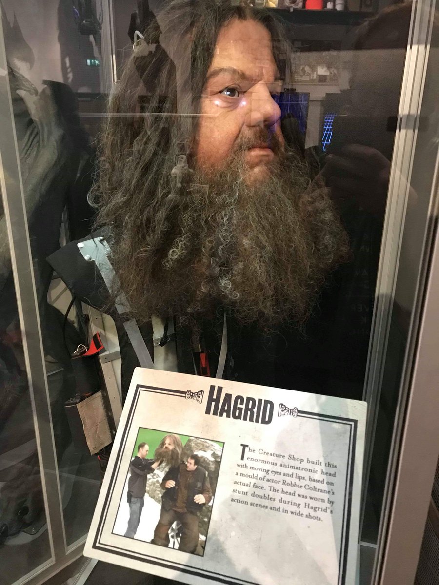 Harry Potter et l'ordre du Phénix : la cabane de Hagrid et une de ses têtes, qui était montée sur un comédien #HarryPotter