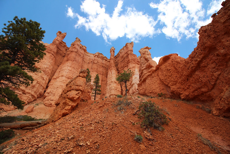 After a side trip to the visitor center to get info about hiking (and a passport stamp!), we had lunch in the lodge and then hiked down to Queens Garden in the canyon (which is not really a canyon, but a natural amphitheater).