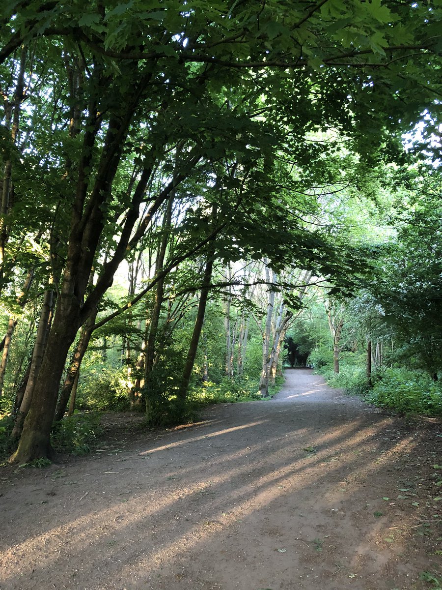 Emma_Lepley_'s tweet photo. Isolation Visitation #6 - Chorlton. Returned home to a home made brownie posted through my door by a friend. Lucky woman. #cycling #fallowfieldloop #isolationhobby #earnedthebrownie #friends https://t.co/GxISaeAqYD