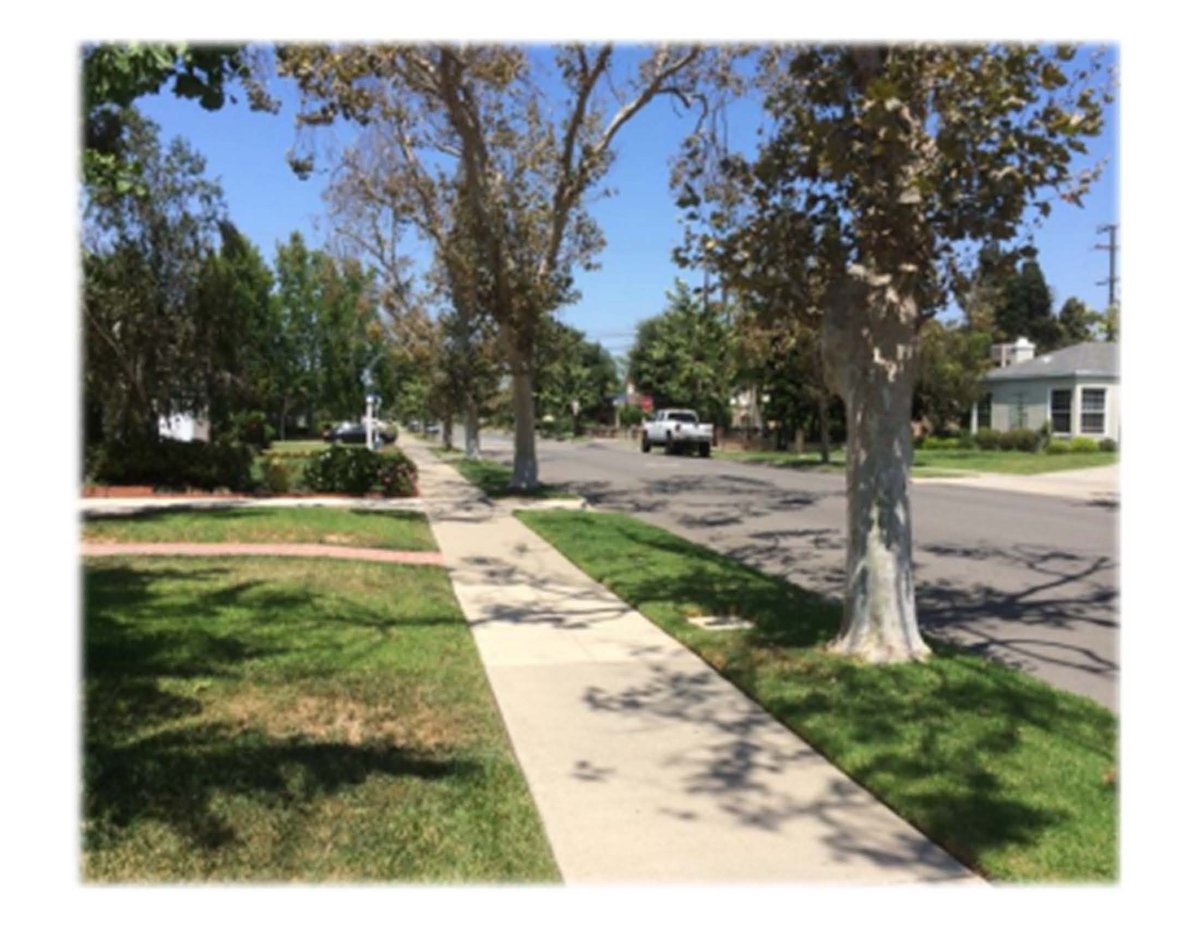 CityofSantaAna's tweet photo. Maintaining Parkways in the City of Santa Ana // Mantenimiento de Vรญas Verdes en la Ciudad de Santa Ana
#SantaAna #community #neighborhood #parkways #vecinos #comunidad
https://t.co/A0wRVLeuAa https://t.co/ivXCs723NP