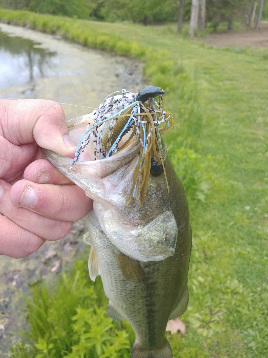 MikePribyl1990's tweet photo. @LunkersTV @FishinWithFlair @MysteryTackleBx @FishingTheMW @lakeforkguy @apbassing got a juicy jig in my MTB of this month and a 2lb bass absolutely crushed it first cast in my pond. #MTBKeeper #GooganBaits https://t.co/O5CEY1Tsr0