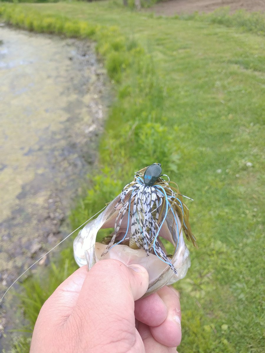 MikePribyl1990's tweet photo. @LunkersTV @FishinWithFlair @MysteryTackleBx @FishingTheMW @lakeforkguy @apbassing got a juicy jig in my MTB of this month and a 2lb bass absolutely crushed it first cast in my pond. #MTBKeeper #GooganBaits https://t.co/O5CEY1Tsr0