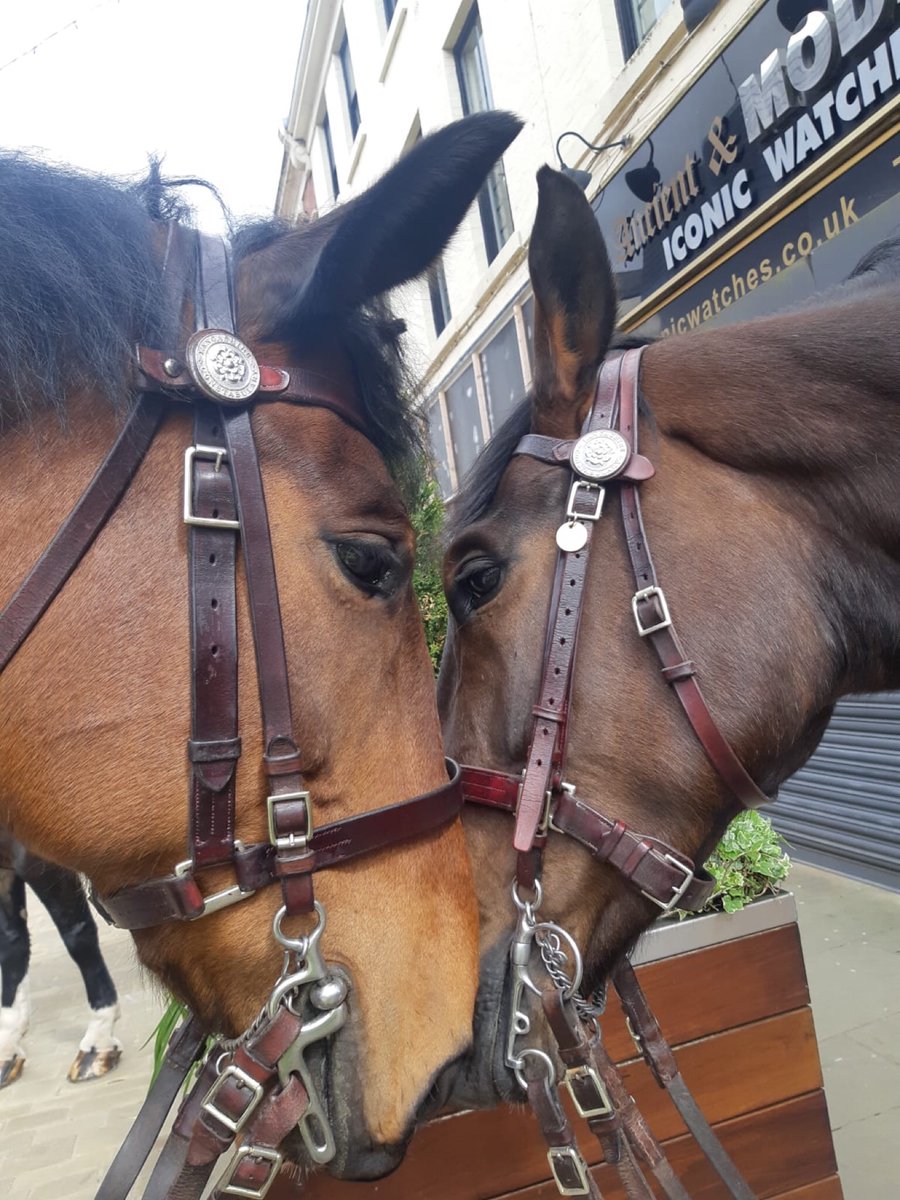 Today Gisburn and Barley pictured along with Abbeystead and Bowker have been on patrol in Blackburn during their patrol Gisburn and Bowker arrested a male for sexual assault x2 and a public order offence. 
#stayhomesaveslives #protectthenhs 🌈🌈