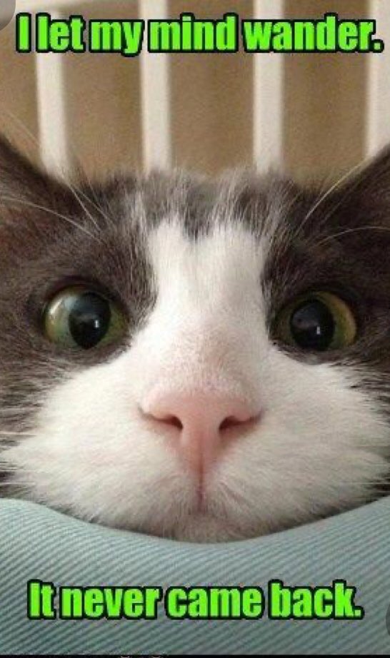 mariebenben's tweet photo. #howIfeeltoday #lockdownloopy #silliness 🤪🤪🤪 https://t.co/ecC7mLKk3E