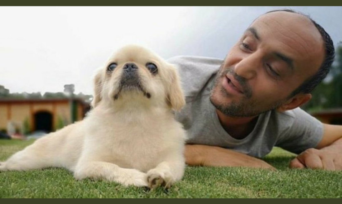 Köpeğim tanır mı diye sorduğun an bittim sanırım #ersin