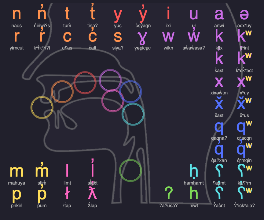 hldrbrnd's tweet photo. A silver-lining for me in this crisis: I have the chance to study my ancestral language, Okanagan Salish (nsəlxcin) online w other learners! I put my #rstats #dataviz to work in building an interactive audio tool to help learn the alphabet.

Check it out @ https://t.co/cd9RPeUB9q https://t.co/D3s5PLOyk5