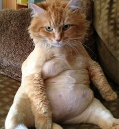 I guess my body didn't get the memo it's summer... We will try again next year