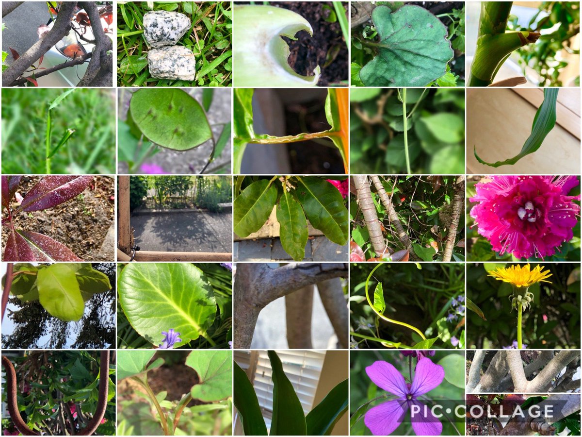 Day 121: Students are learning about #PhotoComposition techniques. Here are some of their ABC #photocollages they created by finding naturally occurring letters in their surroundings! Can you see the alphabet? #vsblearns #vsb39 #digitalart #photography #art #thelearningneverstops