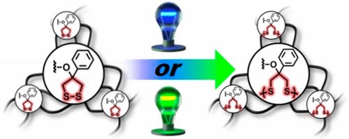 Brent Sumerlin (@brent_sumerlin) on Twitter photo A cool new paper is out in @Macro_ACS that describes our work to make photocurable and adaptable hydrogels from polymers that contain strained cyclic disulfides. <a href="/ButlerPolymer/">Butler Polymer Research Laboratory</a> <a href="/UFChemistry/">UF Chemistry</a>
Collaboration with Tommy Angelini in <a href="/uflmae/">UF MAE</a> <a href="/UFBME/">UF BME</a>
pubs.acs.org/doi/10.1021/ac… A cool new paper is out in @Macro_ACS that describes our work to make photocurable and adaptable hydrogels from polymers that contain strained cyclic disulfides. <a href="/ButlerPolymer/">Butler Polymer Research Laboratory</a> <a href="/UFChemistry/">UF Chemistry</a>
Collaboration with Tommy Angelini in <a href="/uflmae/">UF MAE</a> <a href="/UFBME/">UF BME</a>
pubs.acs.org/doi/10.1021/ac…