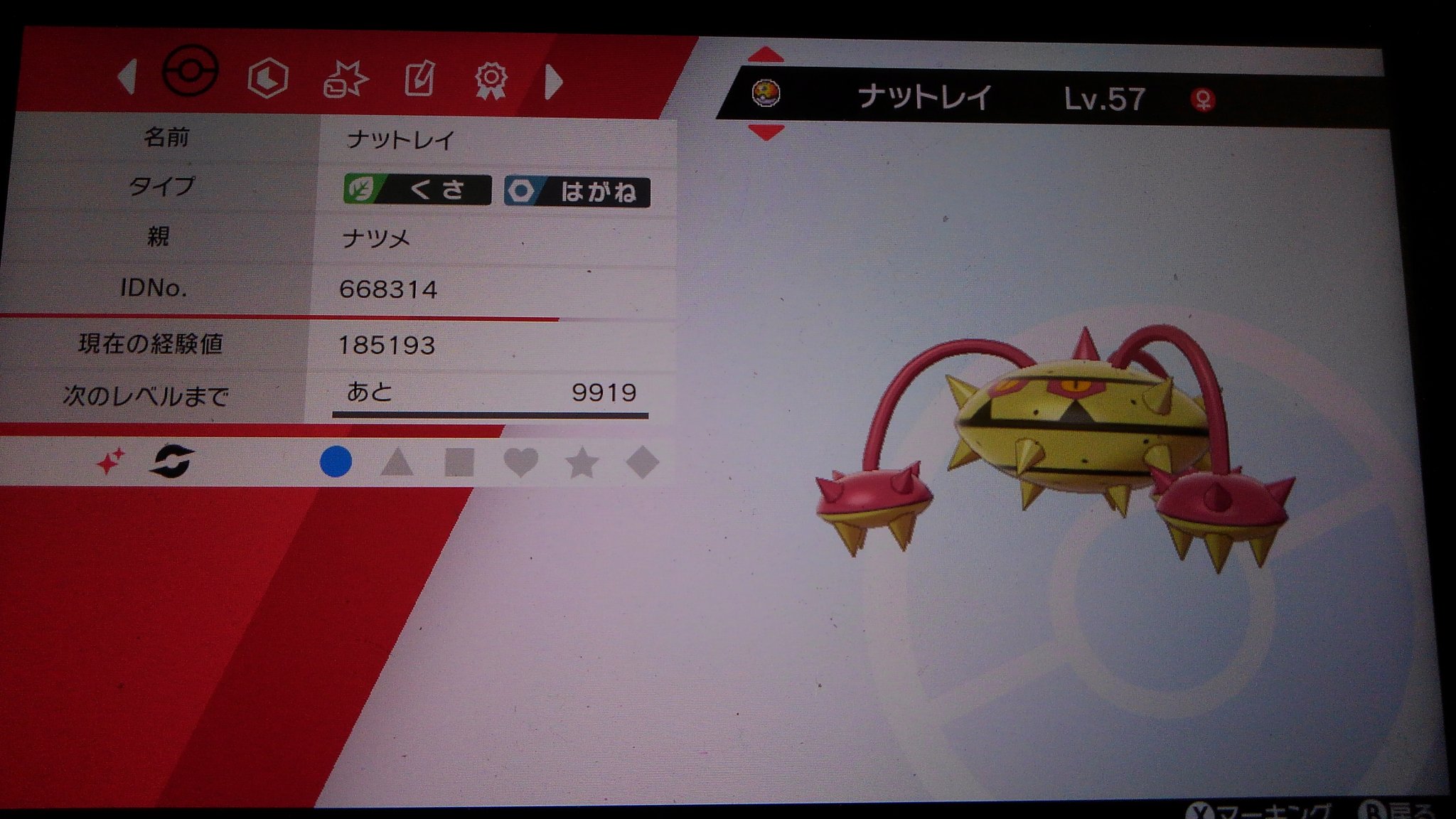 明 ポケ垢 本日の色違いポケモン 意図せず色違いナットレイと 色違いキョダイセキタンザン T Co Ck6etxhu7h Twitter